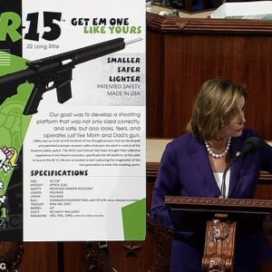 House Speaker Nancy Pelosi flashed a sign on the floor advertising AR-15s for children as she urged members to vote for the ban.