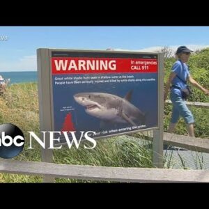 New warning about sharks amid new attacks