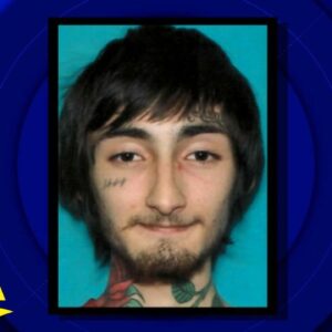 Person of interest apprehended in fatal Highland Park Fourth of July shooting | GMA