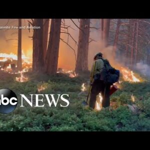 Washburn Fire rages through California's Yosemite National Park l GMA