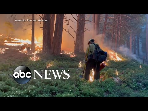 Washburn Fire rages through California's Yosemite National Park l GMA
