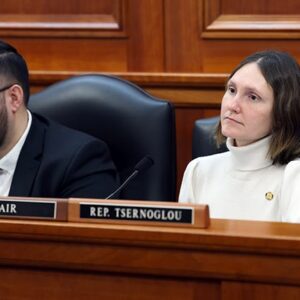 State Rep. Penelope Tsernoglou, D-East Lansing, chairs the House Elections Committee.