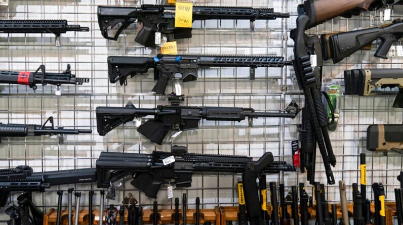 ar 15 rifle gun weaponap2208517304061stl0112 01132023