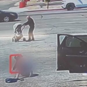 good samaritan saves baby from rolling into street