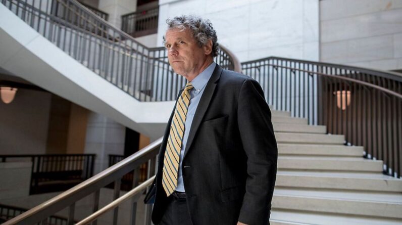 Sen. Sherrod Brown, D-Ohio, arrives for a closed door meeting for Senators on election security on Capitol Hill in Washington, Wednesday, July 10, 2019. (AP Photo/Andrew Harnik)
