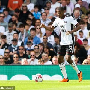 Fulham's Issa Diop has been arrested in France for making repeated death threats to his former partner