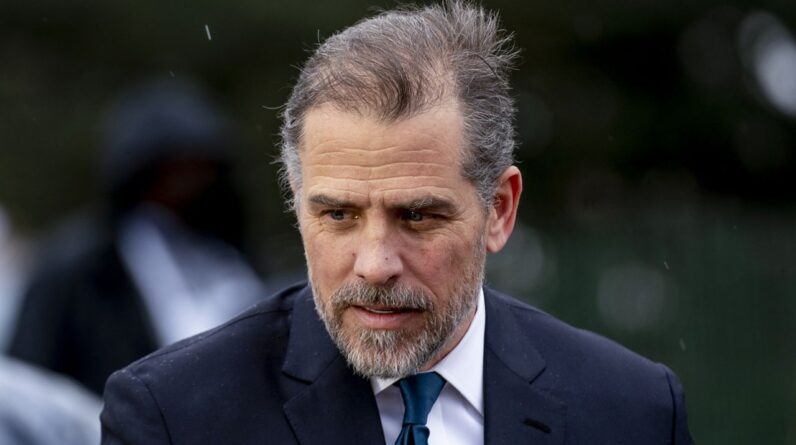 Hunter Biden, the son of President Joe Biden. (AP Photo/Andrew Harnik)