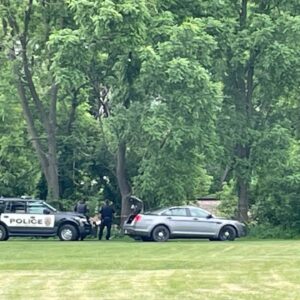 Police at Cook Park