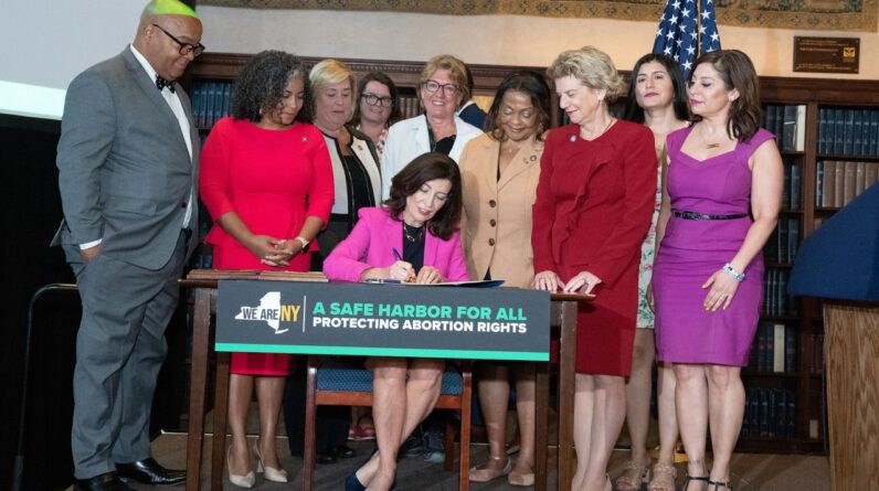gov hochul abortion 3