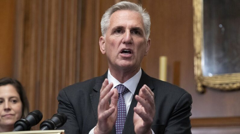 House Speaker Kevin McCarthy speaks at a news conference at the Capitol on May 31. (AP Photo/Jose Luis Magana, File)
