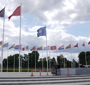 cdcd975cced34ef5bafc490d4340db23